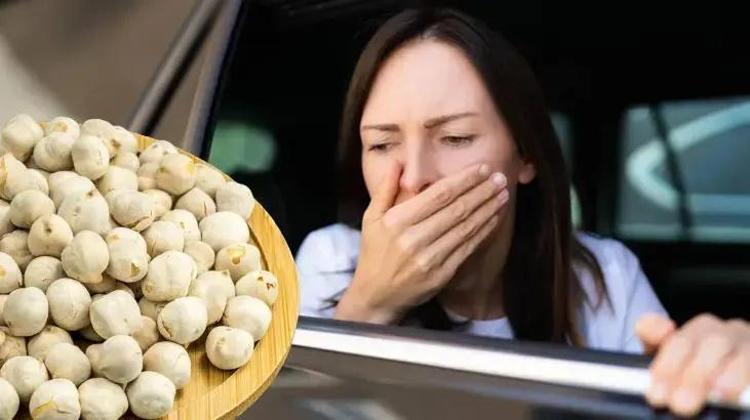 Kuruyemiş tabaklarında en sona bırakılıyor ama Kan temizleyen yapısı riskleri sıfıra indiriyor Beyaz altın derler, bir avucun protein ve lif deposu sayılıyor