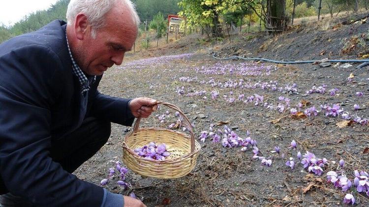 Adanada üretiyor, Avrupaya satıyor Gram fiyatı 200 liranın üstünde