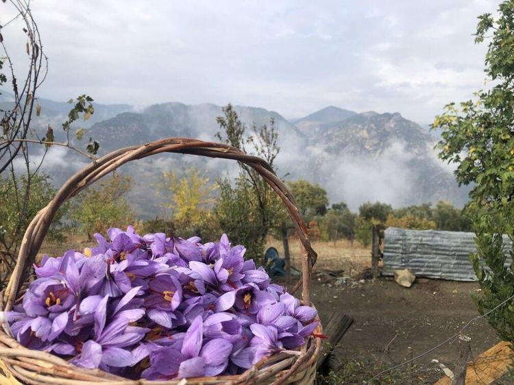 Adanada üretiyor, Avrupaya satıyor Gram fiyatı 200 liranın üstünde