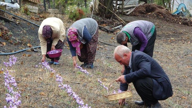 Adanada üretiyor, Avrupaya satıyor Gram fiyatı 200 liranın üstünde