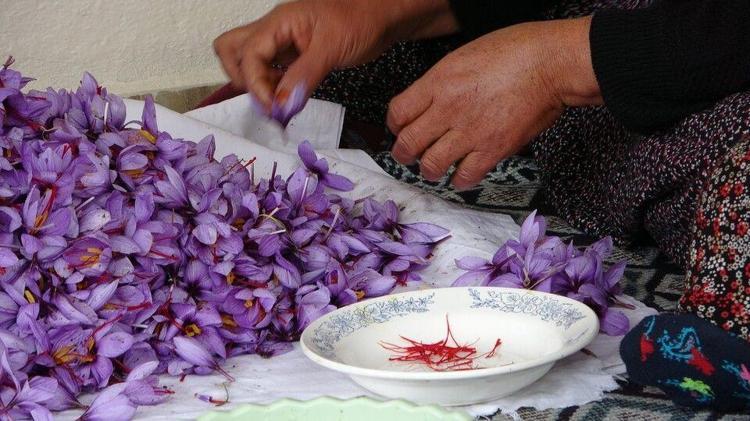 Adanada üretiyor, Avrupaya satıyor Gram fiyatı 200 liranın üstünde