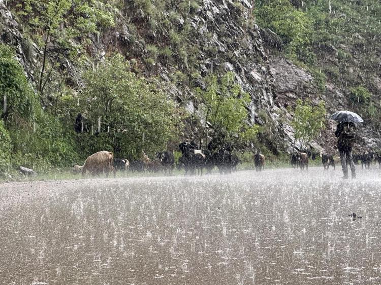 Meteoroloji son dakika duyurdu Kavurucu sıcaklar öncesi yağışlar bir anda bastıracak