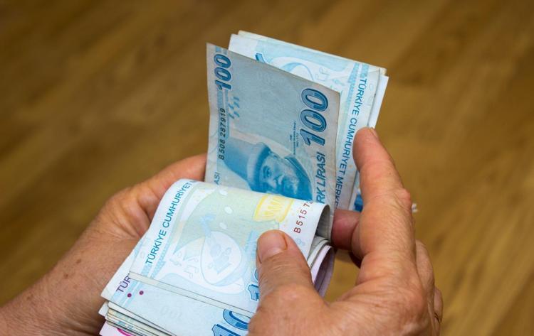 İKİ YILDIR YOĞUN OLARAK GÖRÜLMEYE BAŞLANDI
