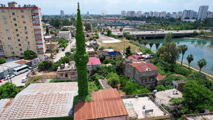 Adanada sarmaşıklarla kaplı Yeşil Cami adeta bir botanik bahçesini andırıyor