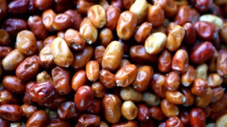 Kuru hali çok seviliyor ama kaynatıp içince karaciğeri tertemiz yapıyor