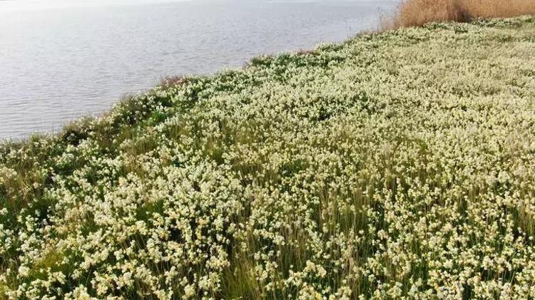 Adanada vatandaşlar 5 yıl önce keşfetti hemen korumaya alındı Gizli cennet herkesi büyülüyor