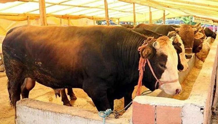 KURBAN BAYRAMI TATİLİ ÖZEL SEKTÖRÜ KAPSIYOR MU, ÖZEL SEKTÖRE BAYRAM TATİLİ KAÇ GÜN