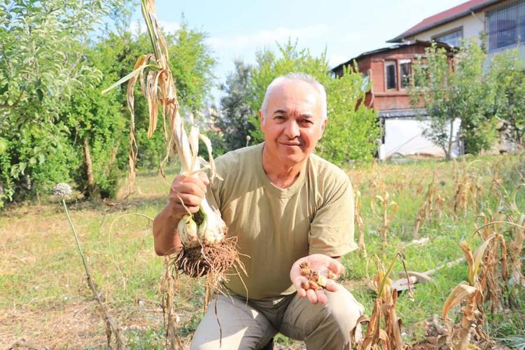 Türk tarımına kazandırmak istiyor