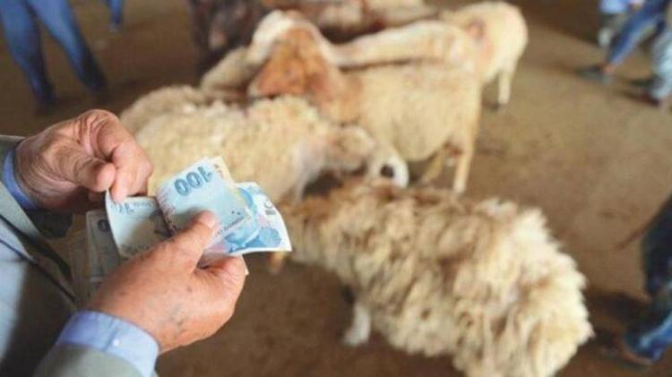 Kurban kesmek Kuranda geçiyor mu Kurban kesmek farz mı Kurban hangi ayetlerde geçiyor