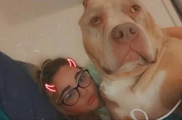 Doğum gününde köpeğinin saldırısında böyle can verdi: Çok mutluyuz videosu hayatına mal oldu İşte korkunç anlar