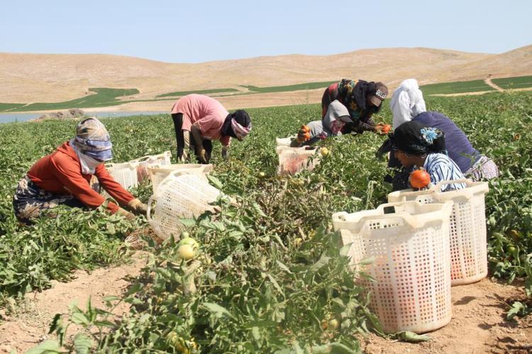 GÜNEŞİN DİK GELDİĞİ SAATLERDE DIŞARI ÇIKMASINLAR