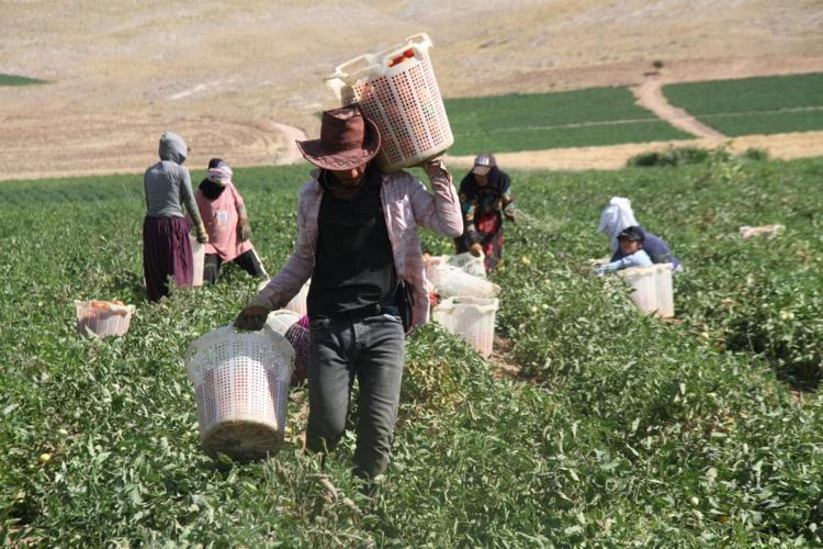 Güneş çarpması nedeniyle çalışma saatleri güncellenmeli