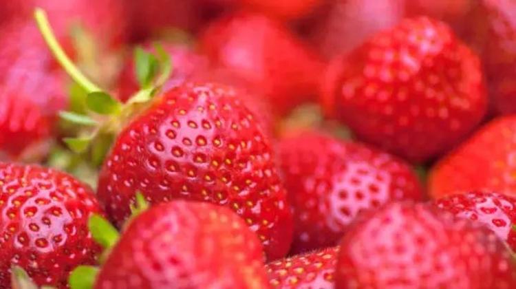 Kolajenin deposu bu yaz meyvelerinde; Kremi takviyeyi geçiyor Üretimi kat kat artırıp botoks etkisi gösteriyor