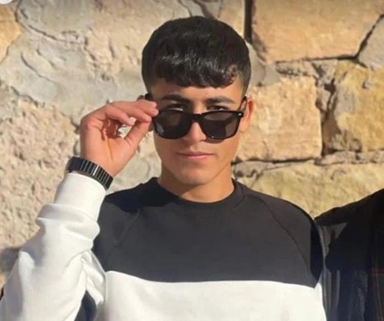Diyarbakır- Mardin sınırındaki yangında kahreden detaylar ortaya çıktı Amca koyunlarını, yeğeni de amcasını kurtarmak isterken ölmüş