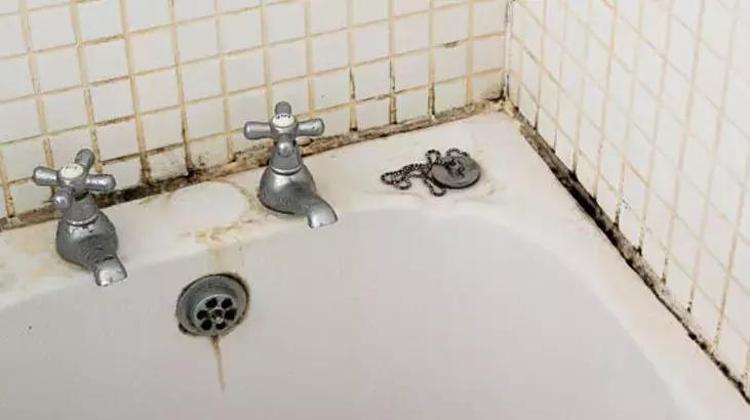 Klozet, lavabo tek ovalamada parlıyor; Bu yöntemi ilk ev kadınları buldu: Ne sararma ne kir kalıyor