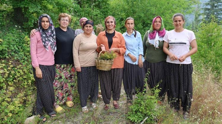 Adanalı kadınların şifa kaynağı mucize ot İlaç olarak kullanıyoruz