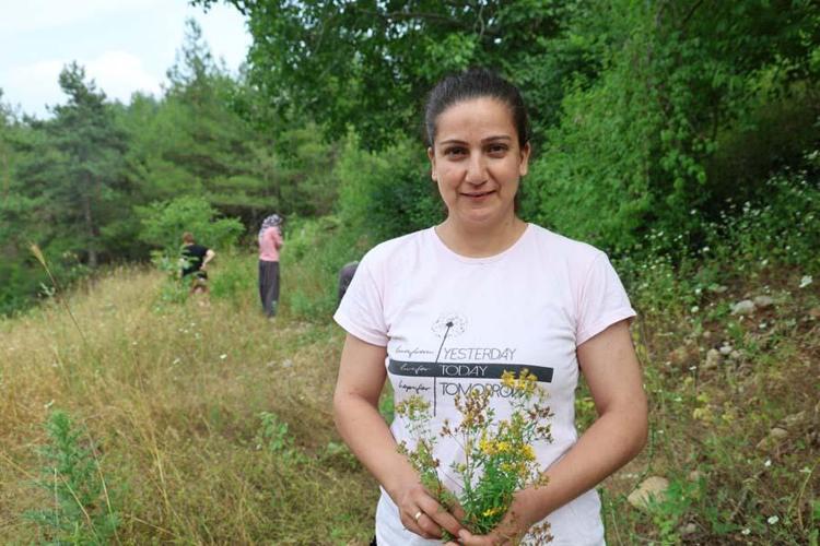 Adanalı kadınların şifa kaynağı mucize ot İlaç olarak kullanıyoruz