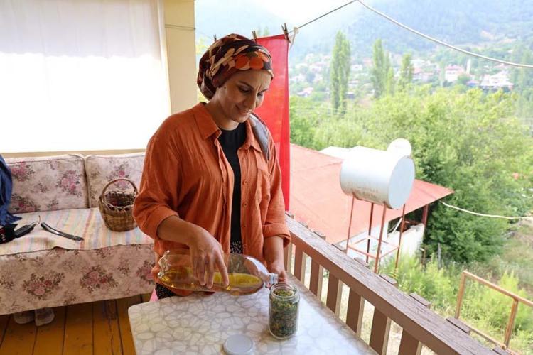 Adanalı kadınların şifa kaynağı mucize ot İlaç olarak kullanıyoruz