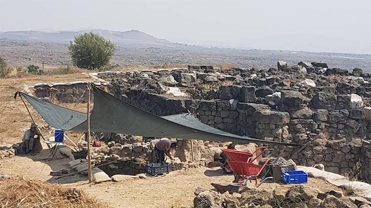 Tatarlı Höyükte Adananın 9 bin yıllık tarihi gün yüzüne çıkıyor İlk kadın kraliçenin izi aranıyor