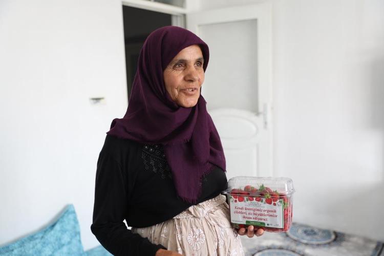 Katı Atık Düzenli Depolama Sahası’nda üretilen çileklerin dağıtımına başlandı