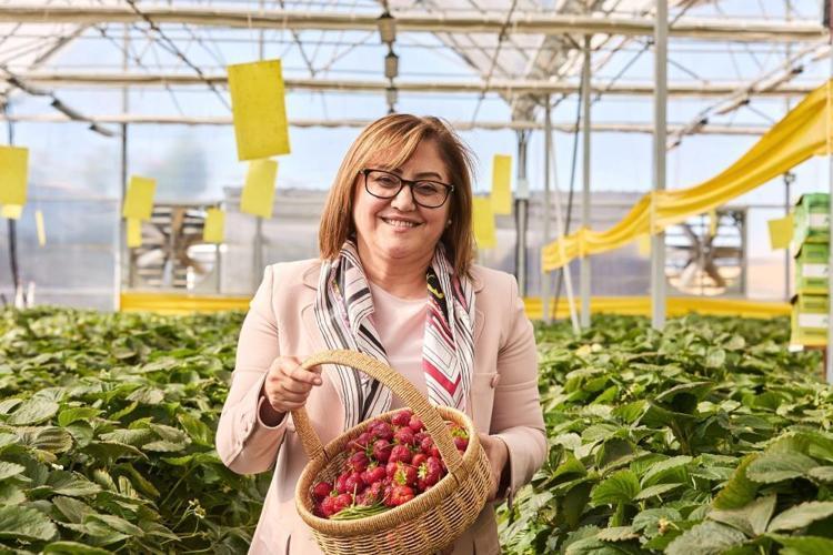 “SERANIN İLK HASADINI ALAN VATANDAŞLAR BAŞKAN ŞAHİN’E TEŞEKKÜR ETTİ”