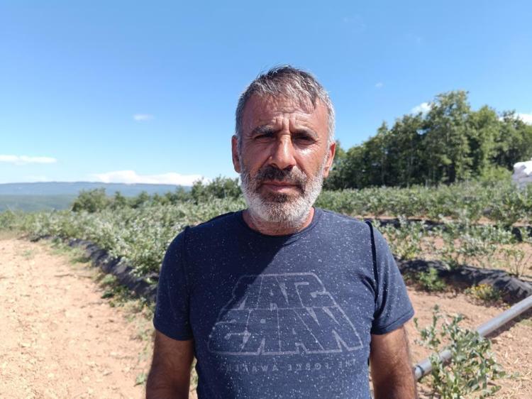 Kimse yüzüne bakmıyordu, şimdi Bilecikte köyün geçim kaynağı oldu Kilosu 400 TLden satılıyor