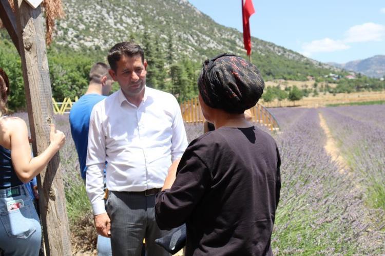 Adana Feke Lavanta Festivaline kalkınma arası