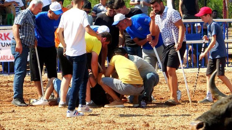 Muğlada rakibine yenilen boğa, öfkesini sahibinden çıkardı