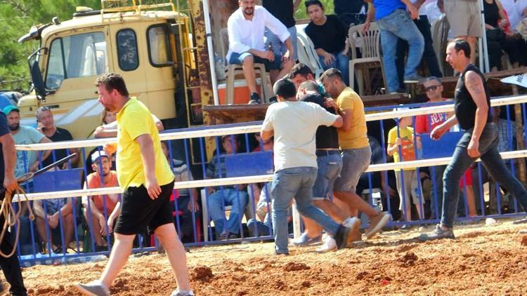 Muğlada rakibine yenilen boğa, öfkesini sahibinden çıkardı
