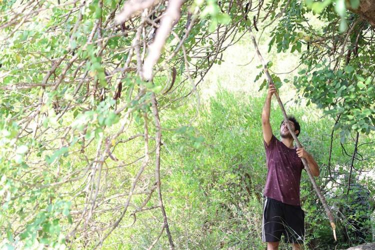 Adanada kilosu 10 liradan satılacak Cinsellikten kalp sağlığına kadar birçok faydası var