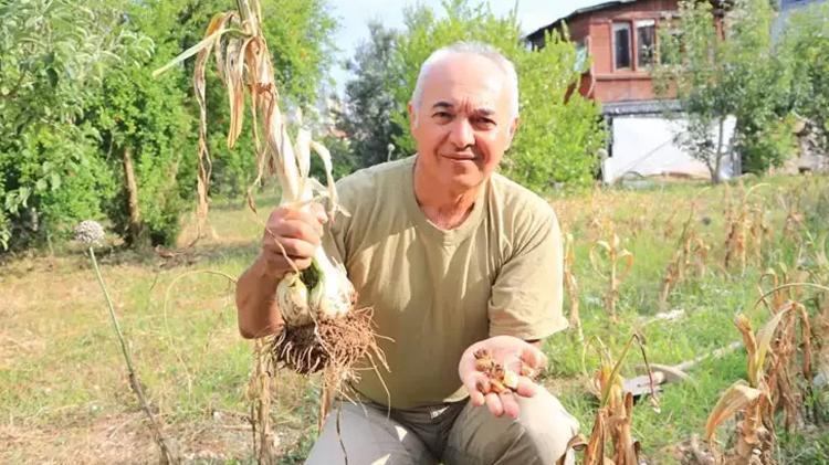 Adana toprağını sevdi Arkadaşının hediye ettiği sarımsak işi oldu, tanesi 400 kiloyu geçiyor