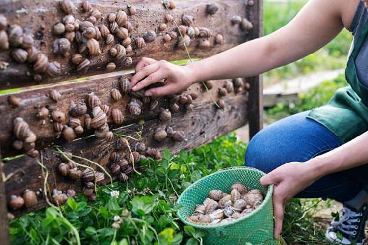 Türkiyede yapan 4 kişi var Kocaelinde üretiyor Avrupaya 5 eurodan satıyor