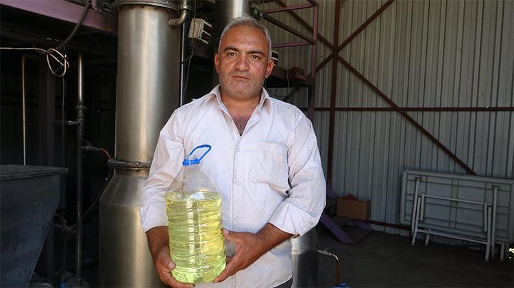 Ispartanın mor bahçelerinde hasat başladı: 60 kilosundan 1 kilo çıkıyor, 600 TLye satılıyor