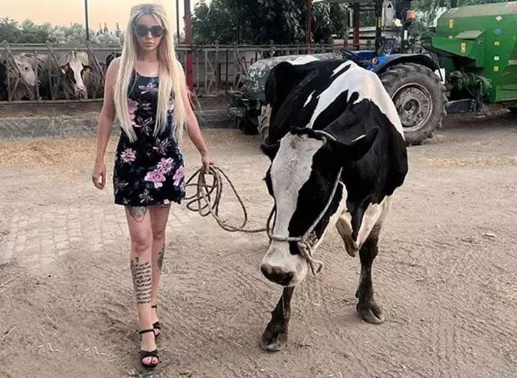 ‘YAPAMAZSIN, ZARAR EDERSİN, ERKEK İŞİ DİYEN ÇOK OLDU’