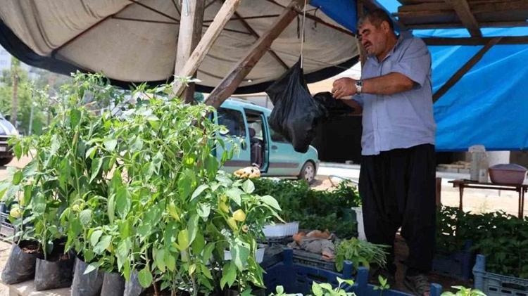 Adanada kendi imkanlarıyla üretiyor vatandaşlar akın ediyor Tohumunu 5 fidesini 20 liradan satıyor