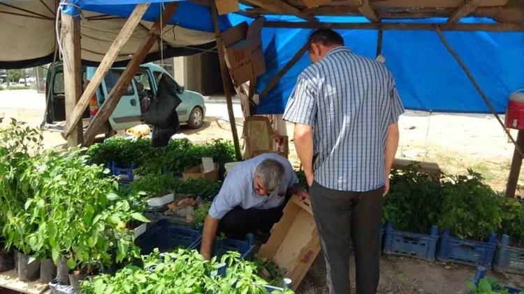 Adanada kendi imkanlarıyla üretiyor vatandaşlar akın ediyor Tohumunu 5 fidesini 20 liradan satıyor