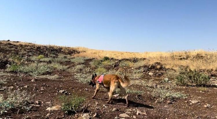 Kayıp Narini arama çalışmaları devam ediyor: Komutan açıkladı: Sonuca çok yakınız