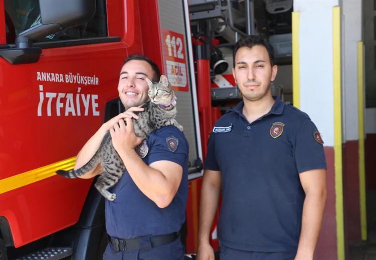 Enkazdan çıkardığı yavru kediyi sahiplendi; Maraş Ankara itfaiyesinin maskotu oldu