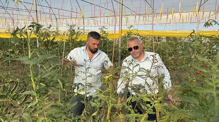 Hollandalı gurbetçi Yozgatta KOP desteğiyle sera kurarak istihdama katkı sağlıyor
