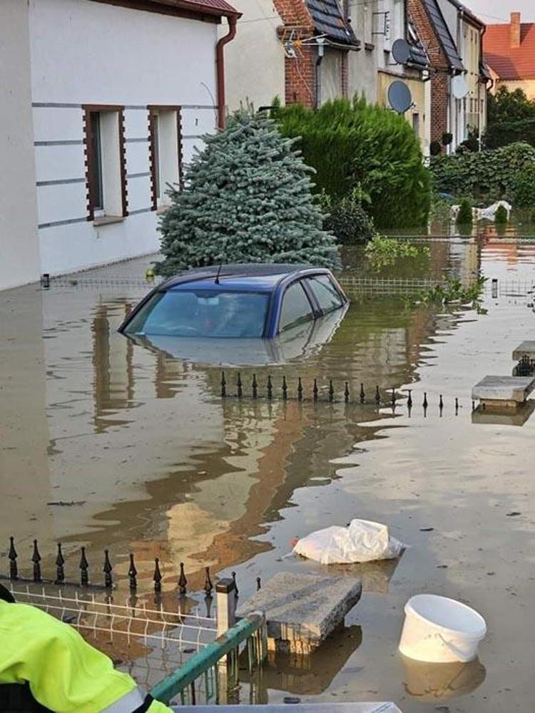 Tahliyeden sonra yağmacılar ortaya çıktı
