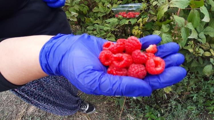 Kuaförlüğü bırakıp hayalindeki işi kurdu Şimdi siparişlere yetişemiyor