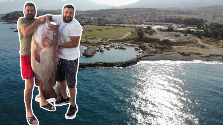 Hatayda görenleri şaşkına çeviren olay Palamut için açıldılar 45 kiloluk devi yakaladılar