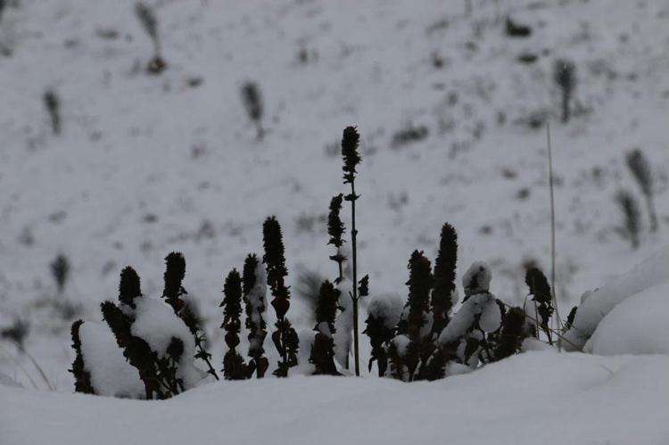 Kar ve sağanak yağışlar 13 ilde etkili olacak Meteoroloji don tehlikesine karşı uyardı