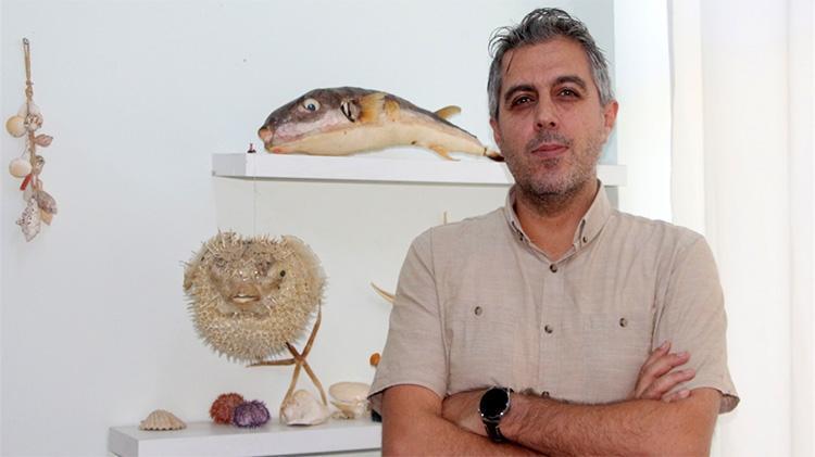 Sonbahar ve kış aylarına dikkat Balon balığı insan sağlığını tehdit ediyor