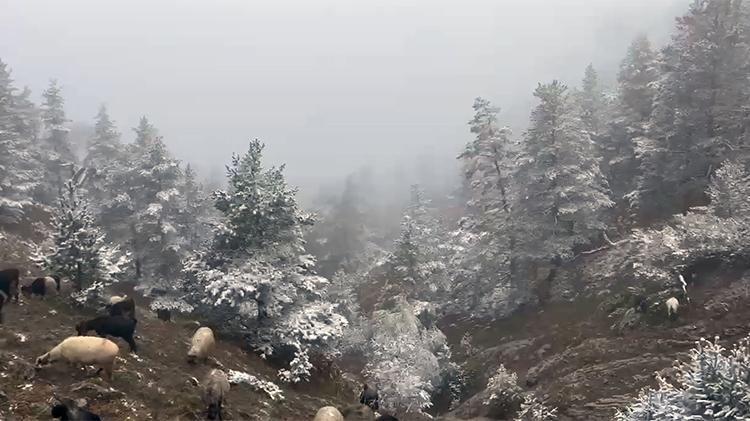 Lapa lapa kar erken bastırdı: İstanbulun yanı başına kadar dayandı Meteorolojiden son dakika uyarısı geldi