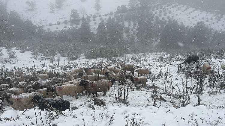 KAR KALINLIĞI 10 CM ULŞATI