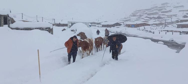 Kar yağışı ülkenin geneline yayılıyor Şehir merkezlerinde lapa lapa kar yağıyor