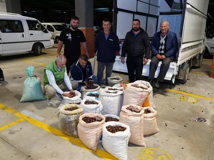 Kilosu 150 TLden 500 TLye çıktı Kapış kapış satılıyor