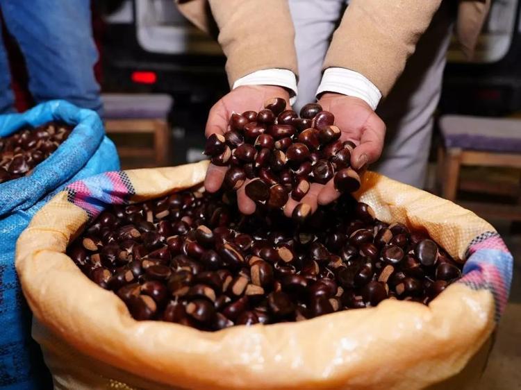 Kilosu 150 TLden 500 TLye çıktı Kapış kapış satılıyor
