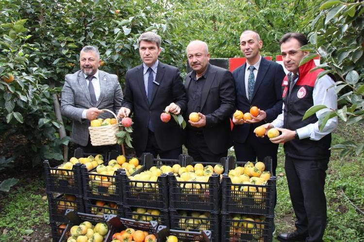 CENNET HURMASI GELİR KAYNAĞINA DÖNÜŞTÜ